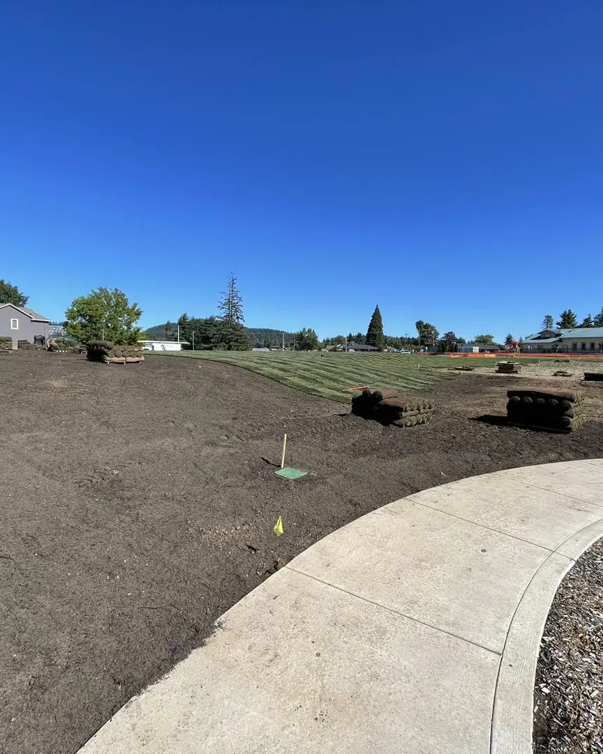 A large field with grass and dirt on it