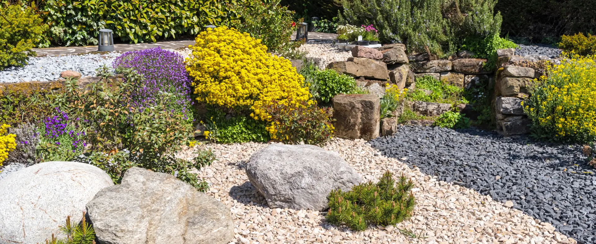 A rock garden with yellow flowers and rocks.