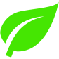 A green leaf is shown on the side of a wall.