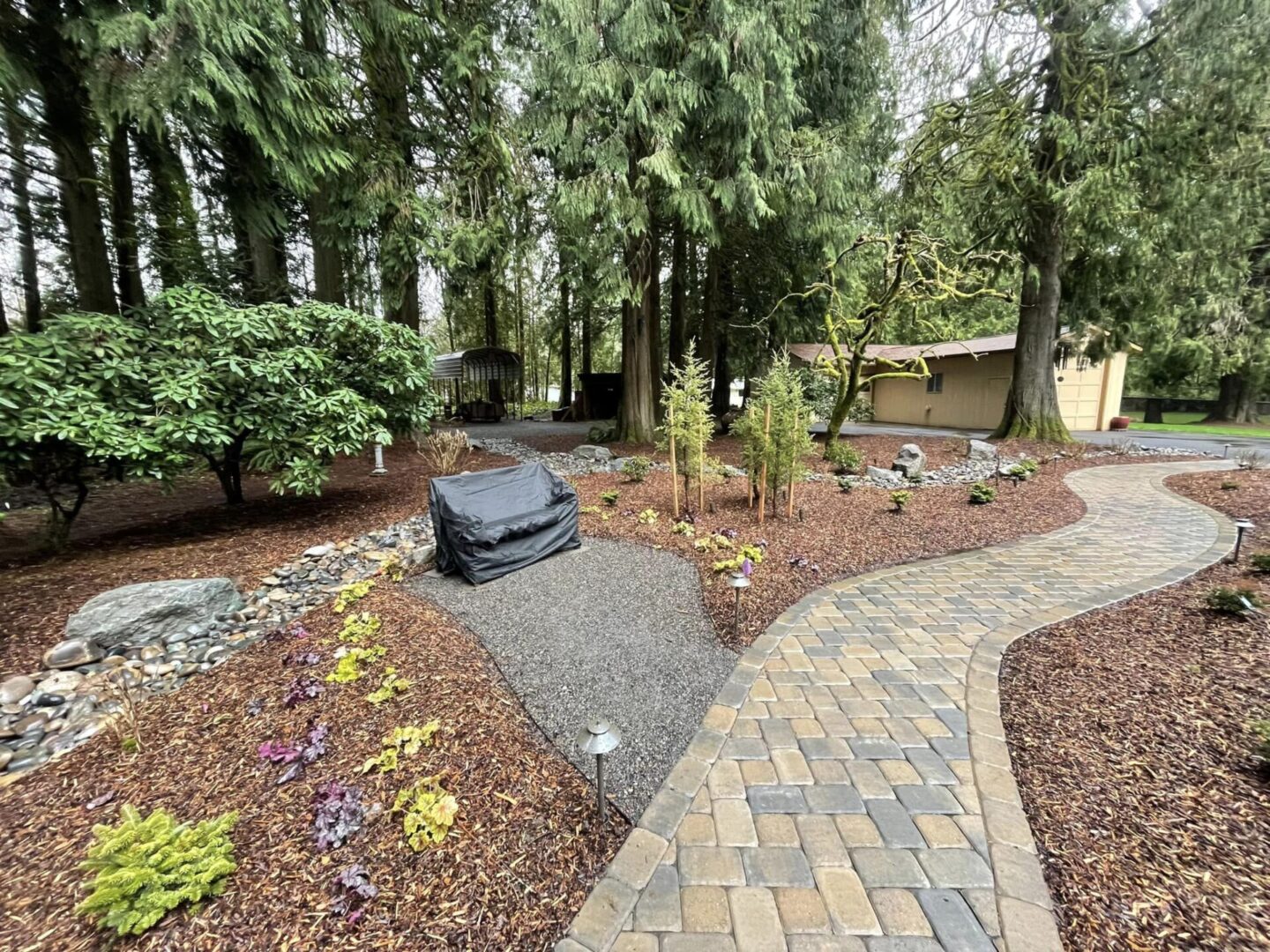 A garden with lots of trees and flowers.