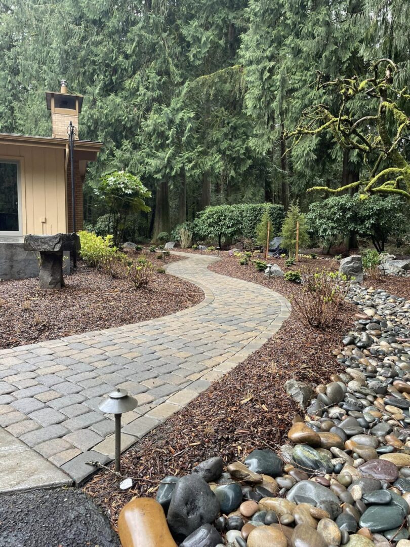 A walkway in the middle of a garden.