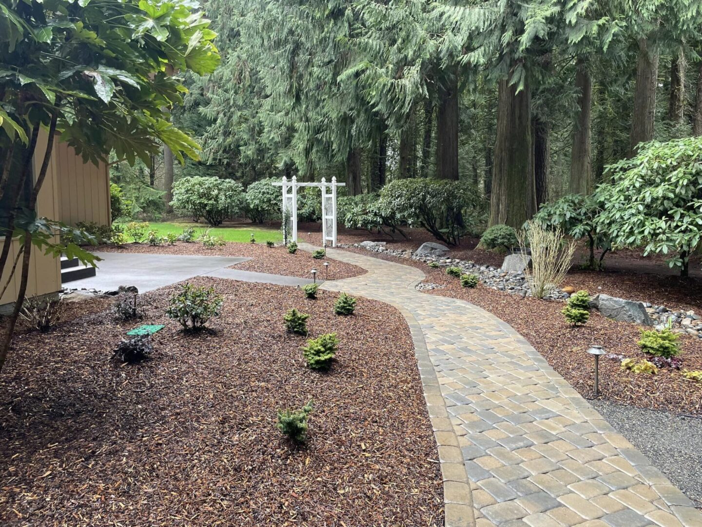 A path in the middle of a garden with trees