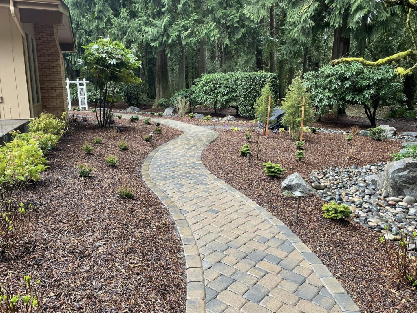 A walkway in the middle of a garden.