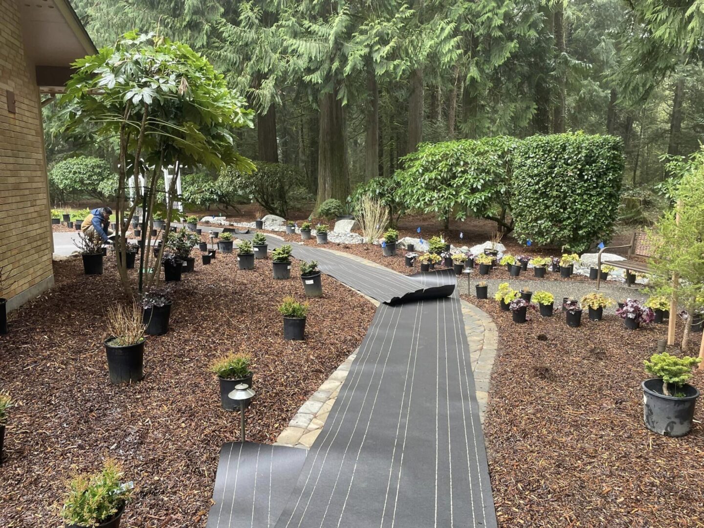 A walkway in the middle of a garden.