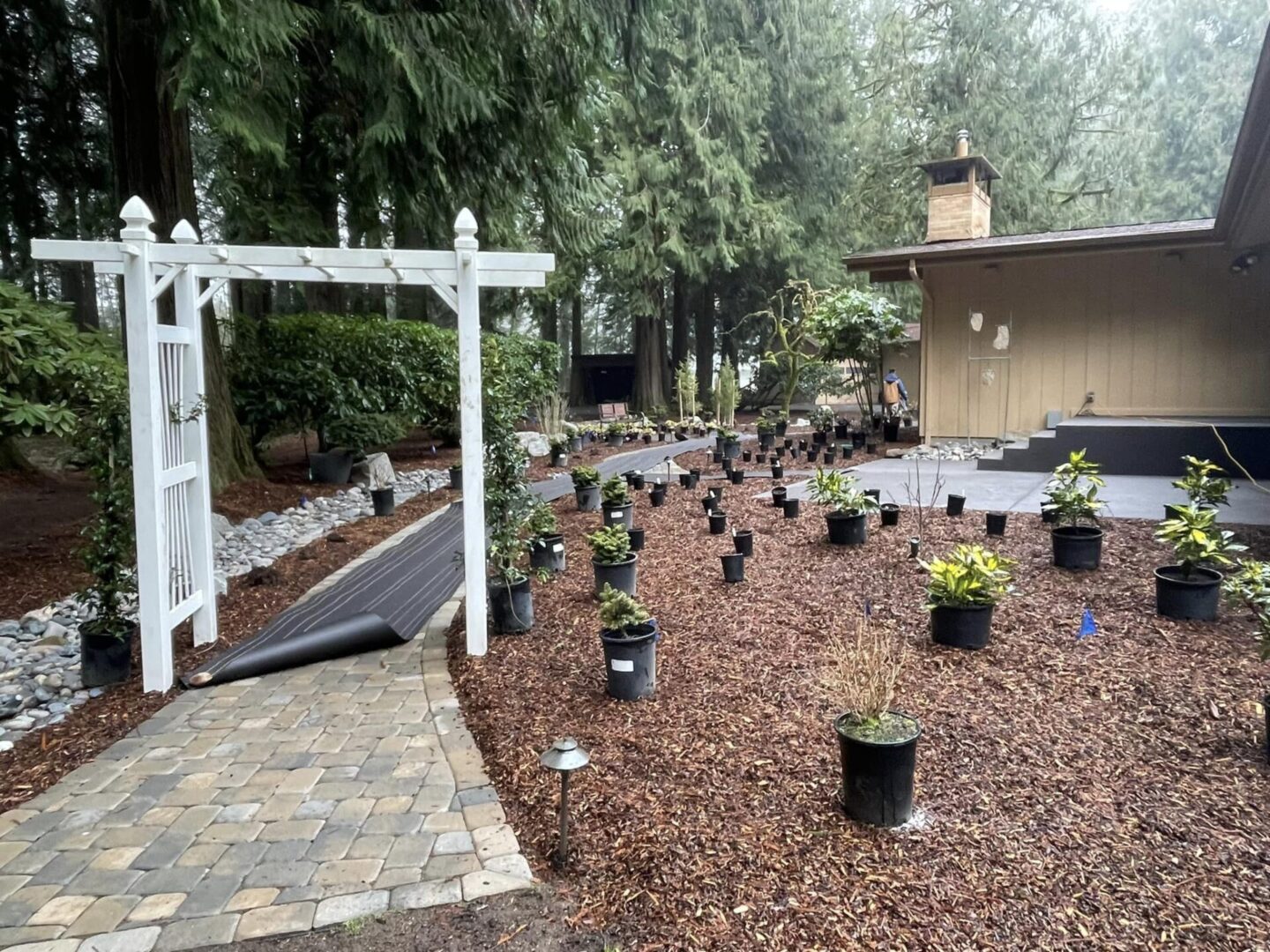 A garden with many plants and trees in the background.