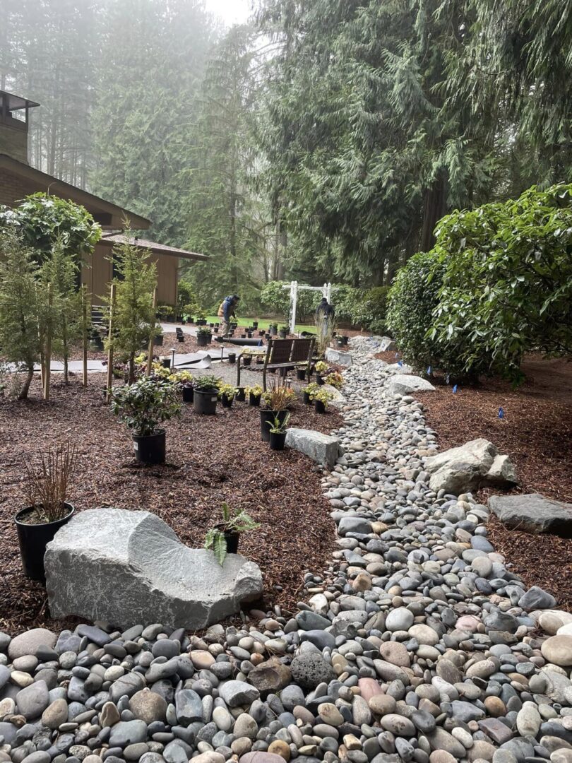 A garden with rocks and plants in the middle of it.