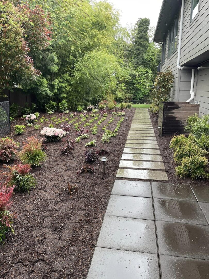 A walkway in the middle of a garden.