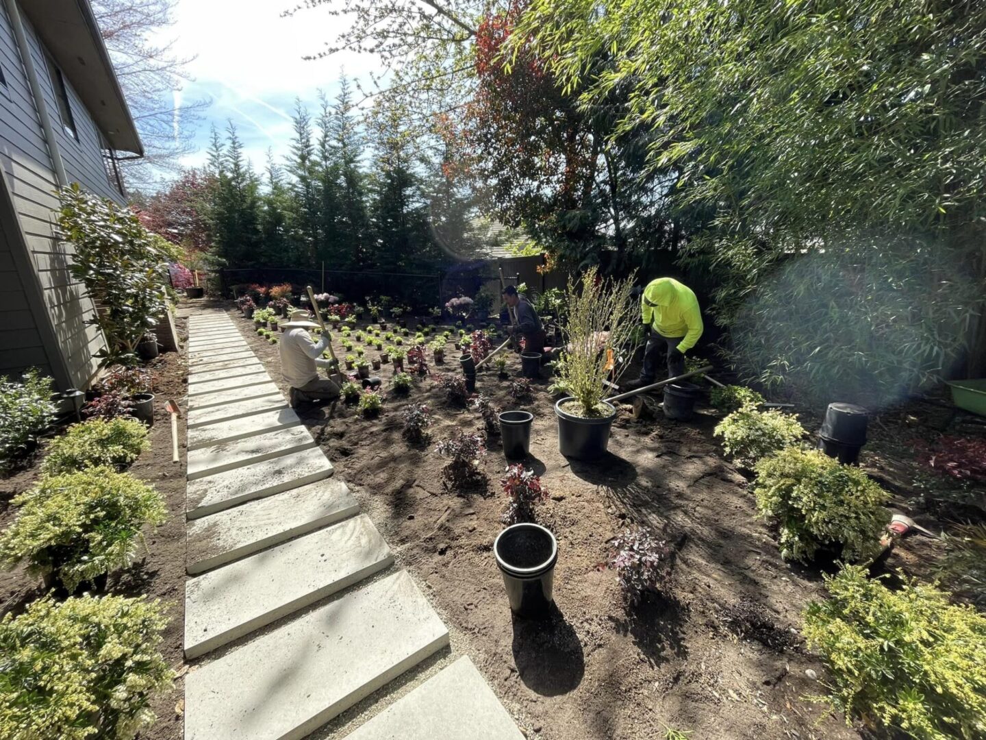 A garden with many plants and trees