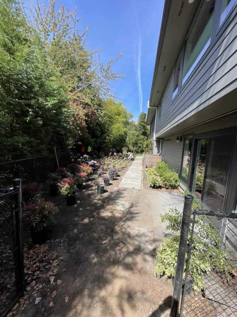 A view of the side walk from outside.