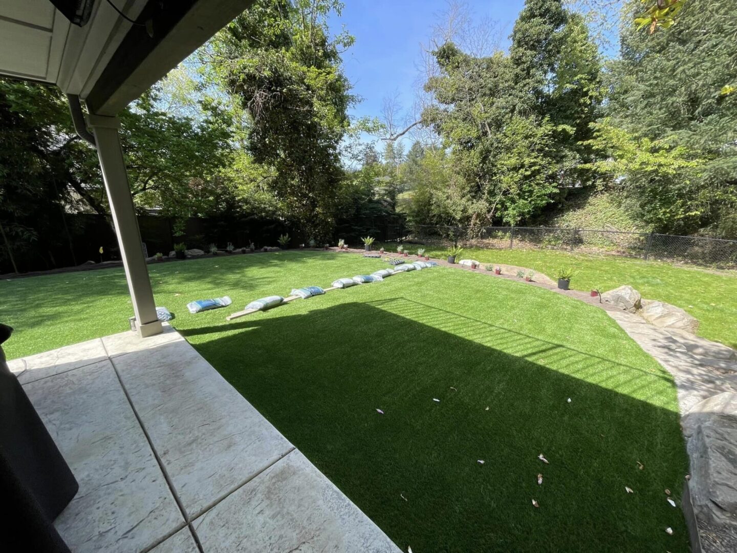 A view of the back yard from outside.