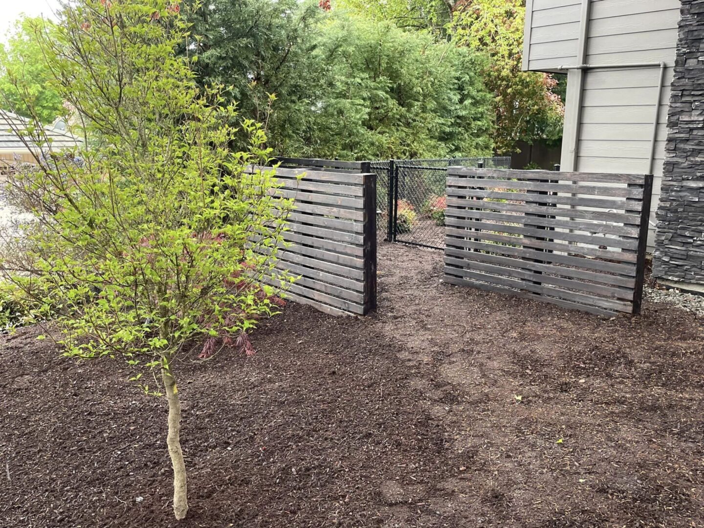 A tree is growing in the middle of a garden.