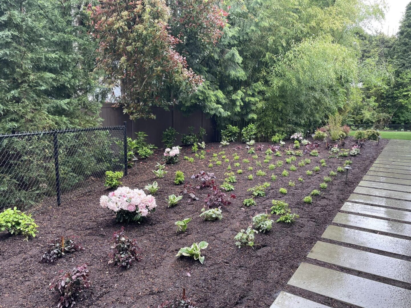 A garden with many plants and flowers in it