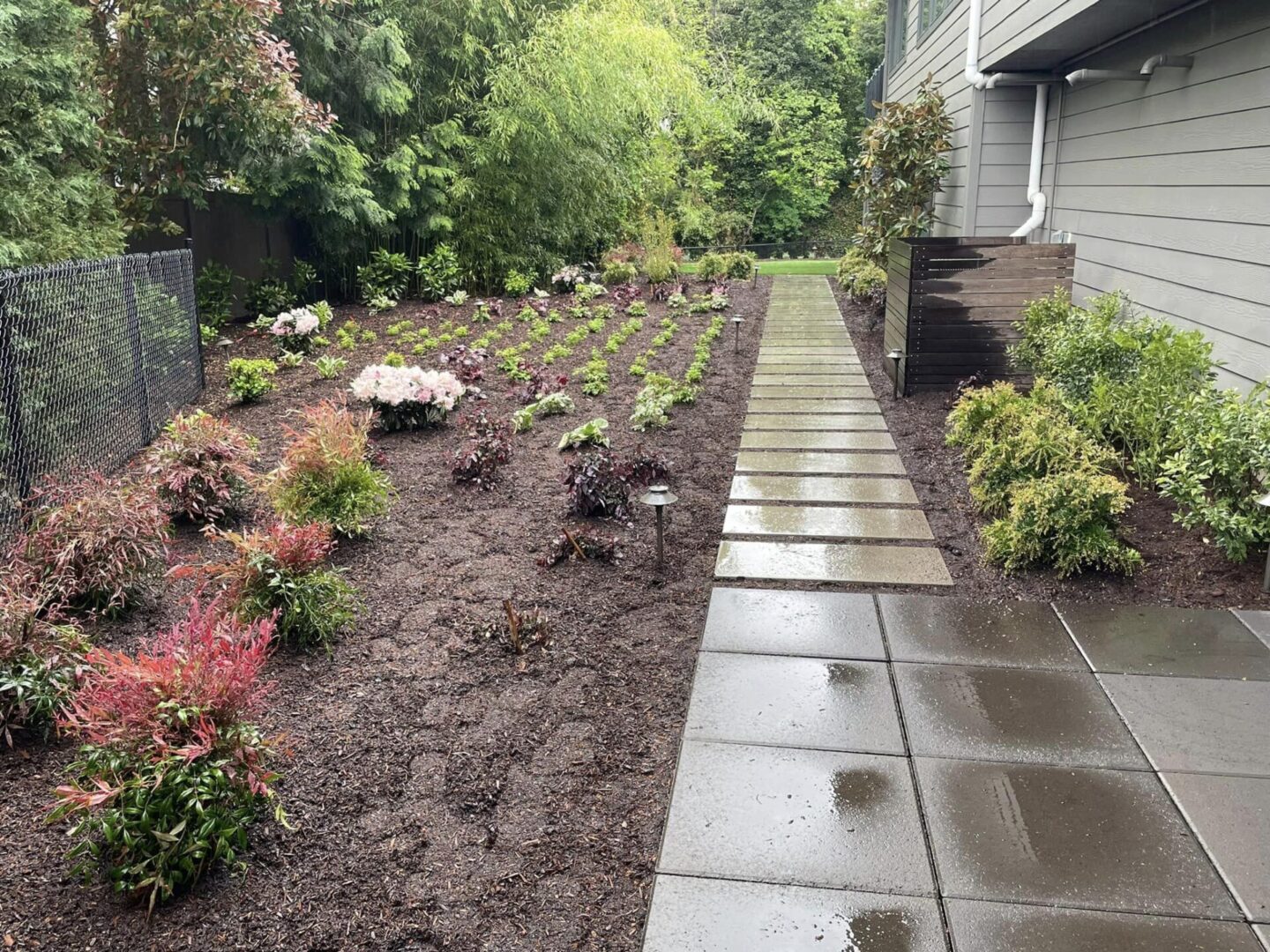 A walkway in the middle of a garden.