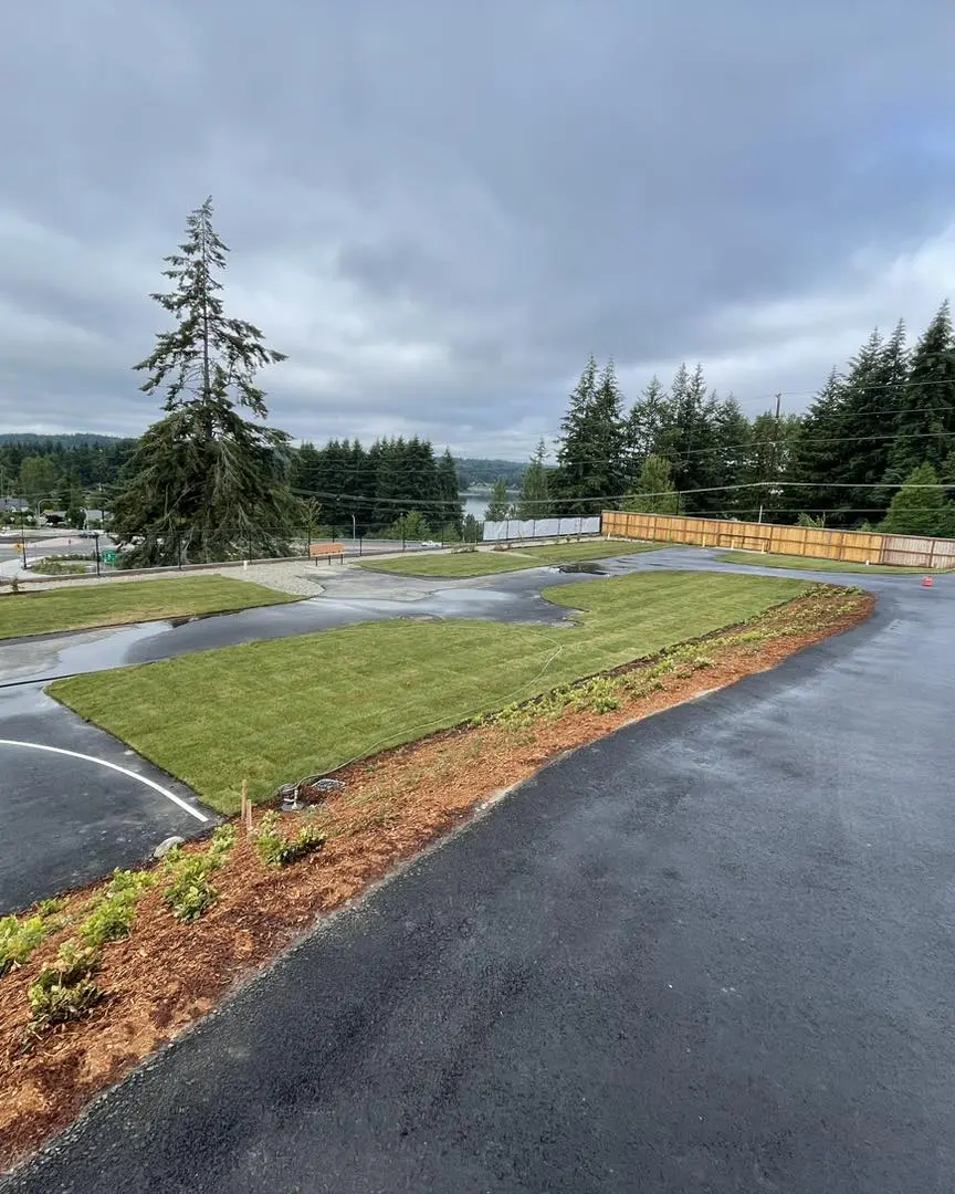 A parking lot with grass and trees in the background.