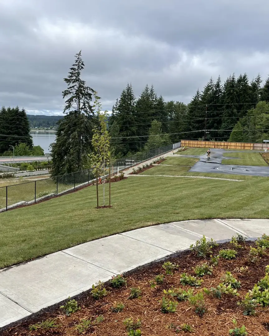 A view of the grass and trees in front of a lake.