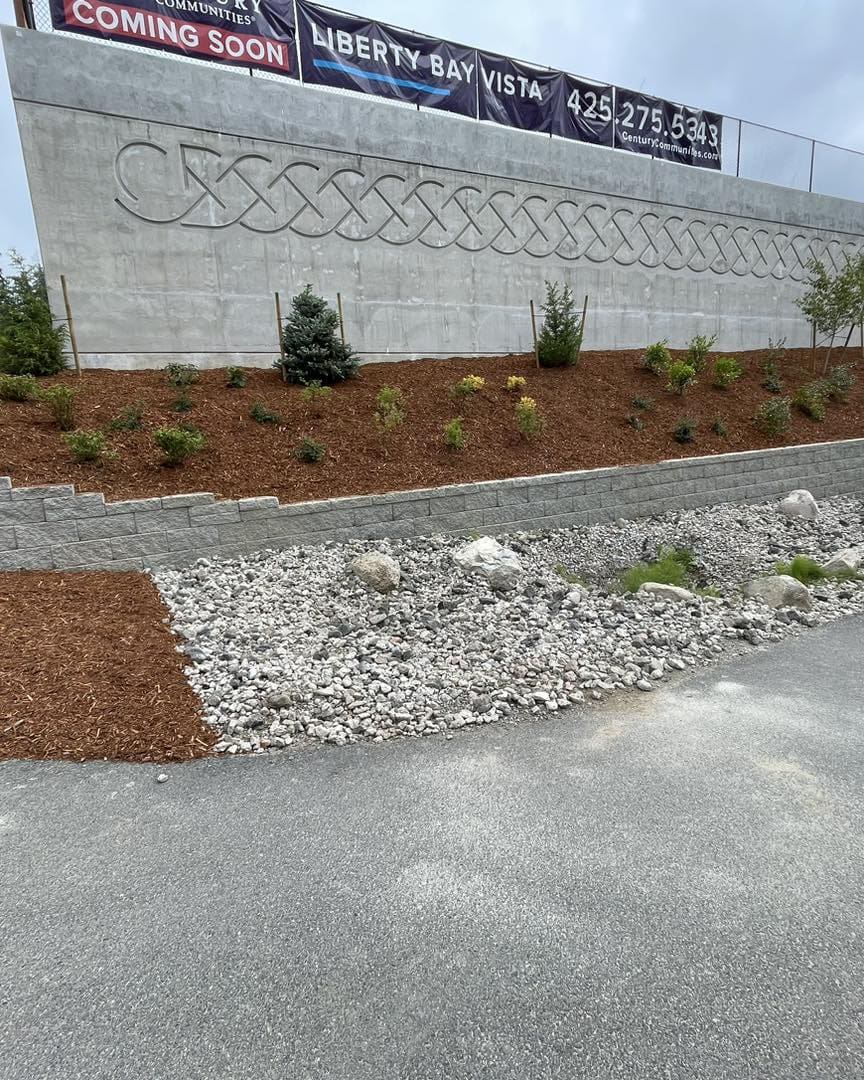 A gravel path next to a wall with plants growing on it.