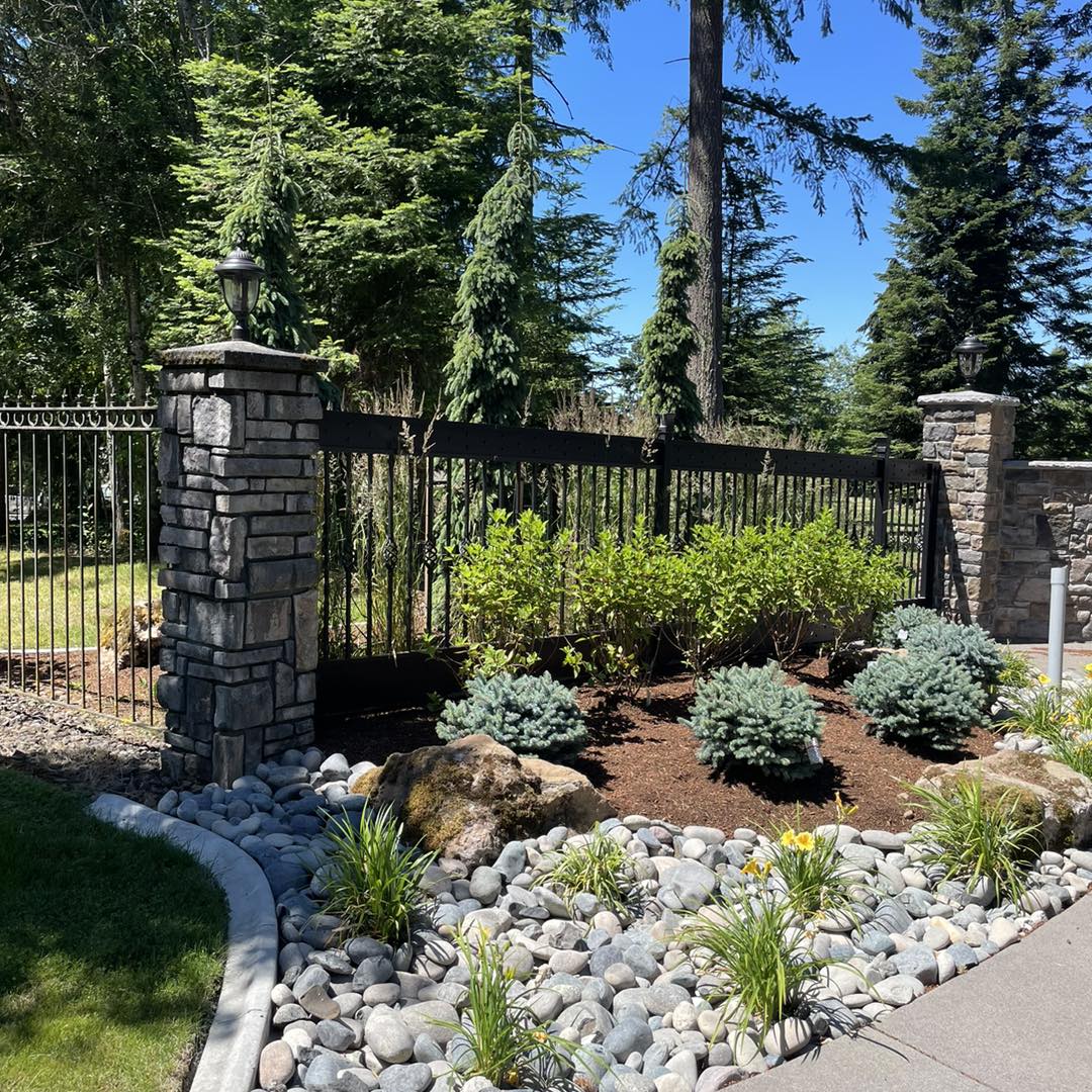 A garden with rocks and plants in the middle of it