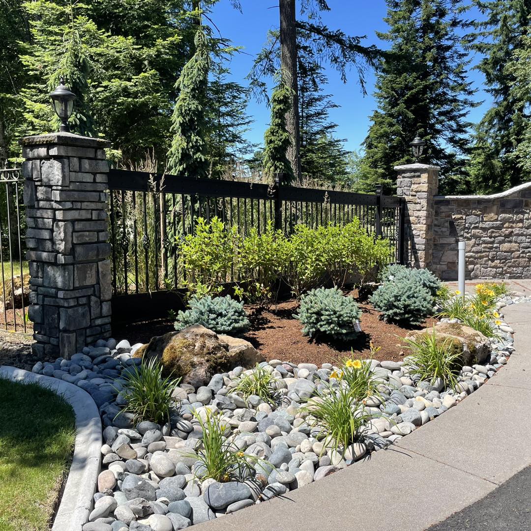 A garden with rocks and plants in the middle of it