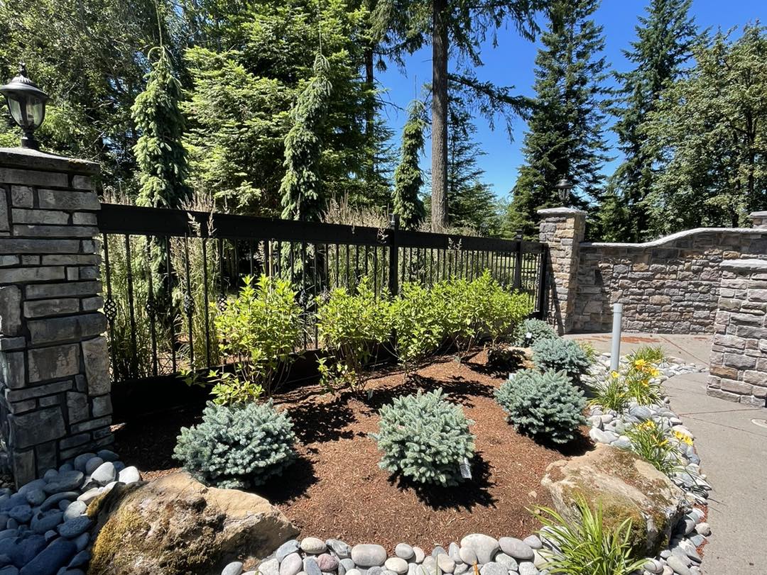 A garden with rocks and plants in it