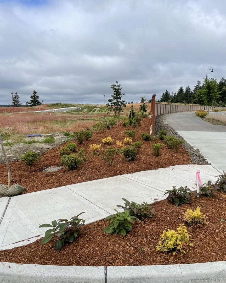 A walkway with flowers and trees in the background.