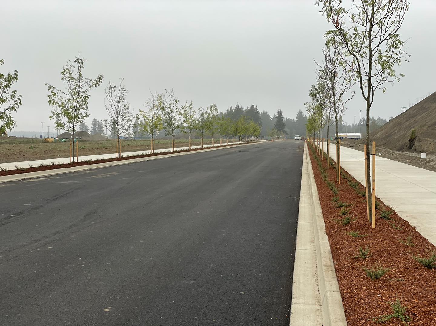 A road with trees and concrete curb on the side.