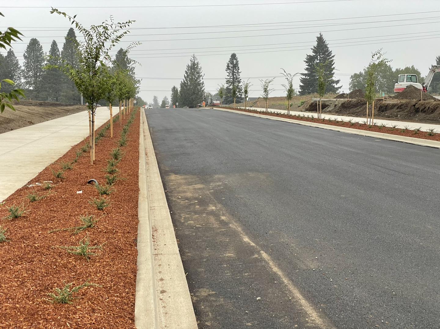 A street with trees and bushes on the side.