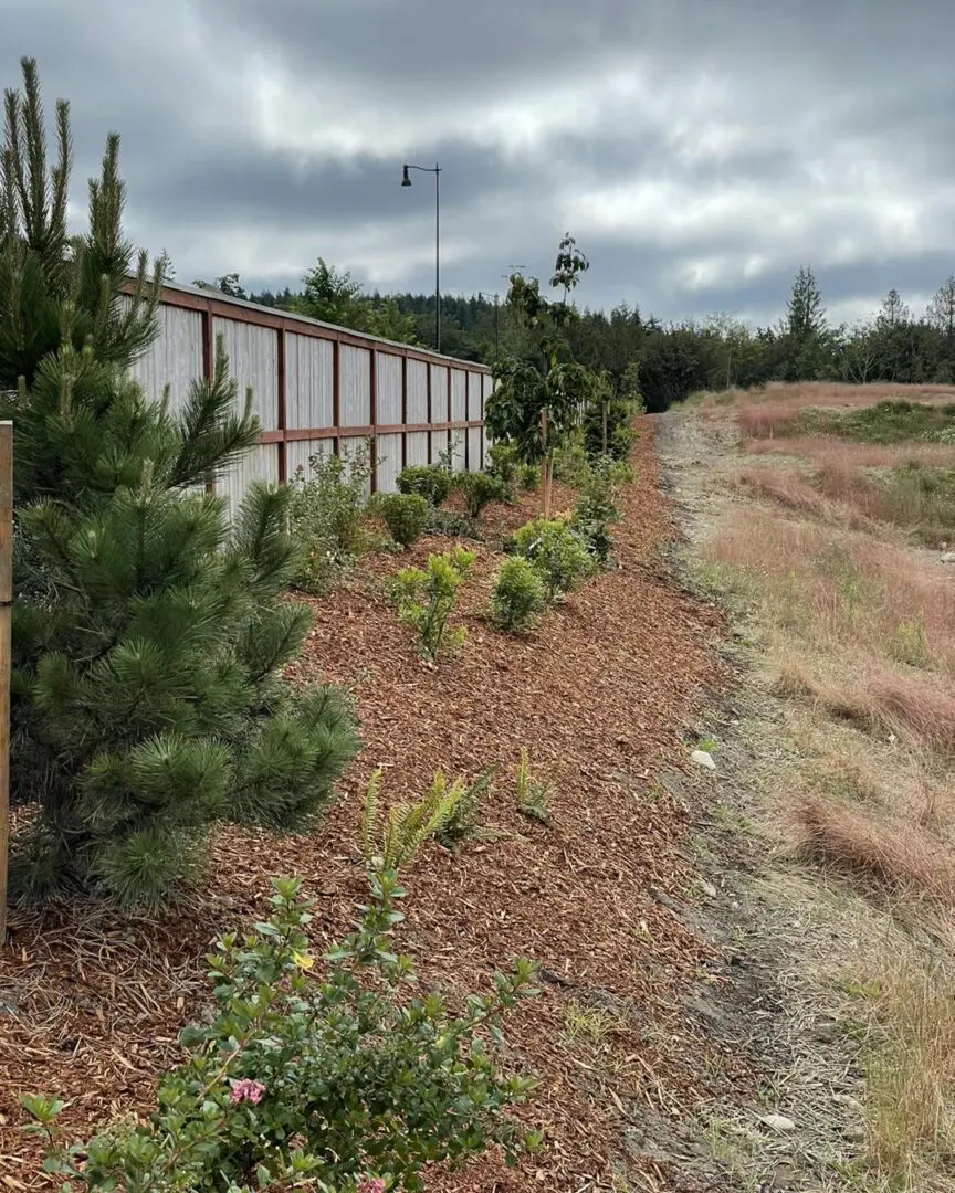 A fence that is next to some bushes