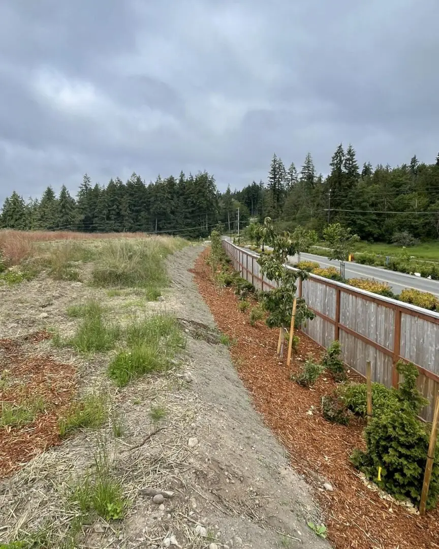 A dirt road next to a fence and some trees