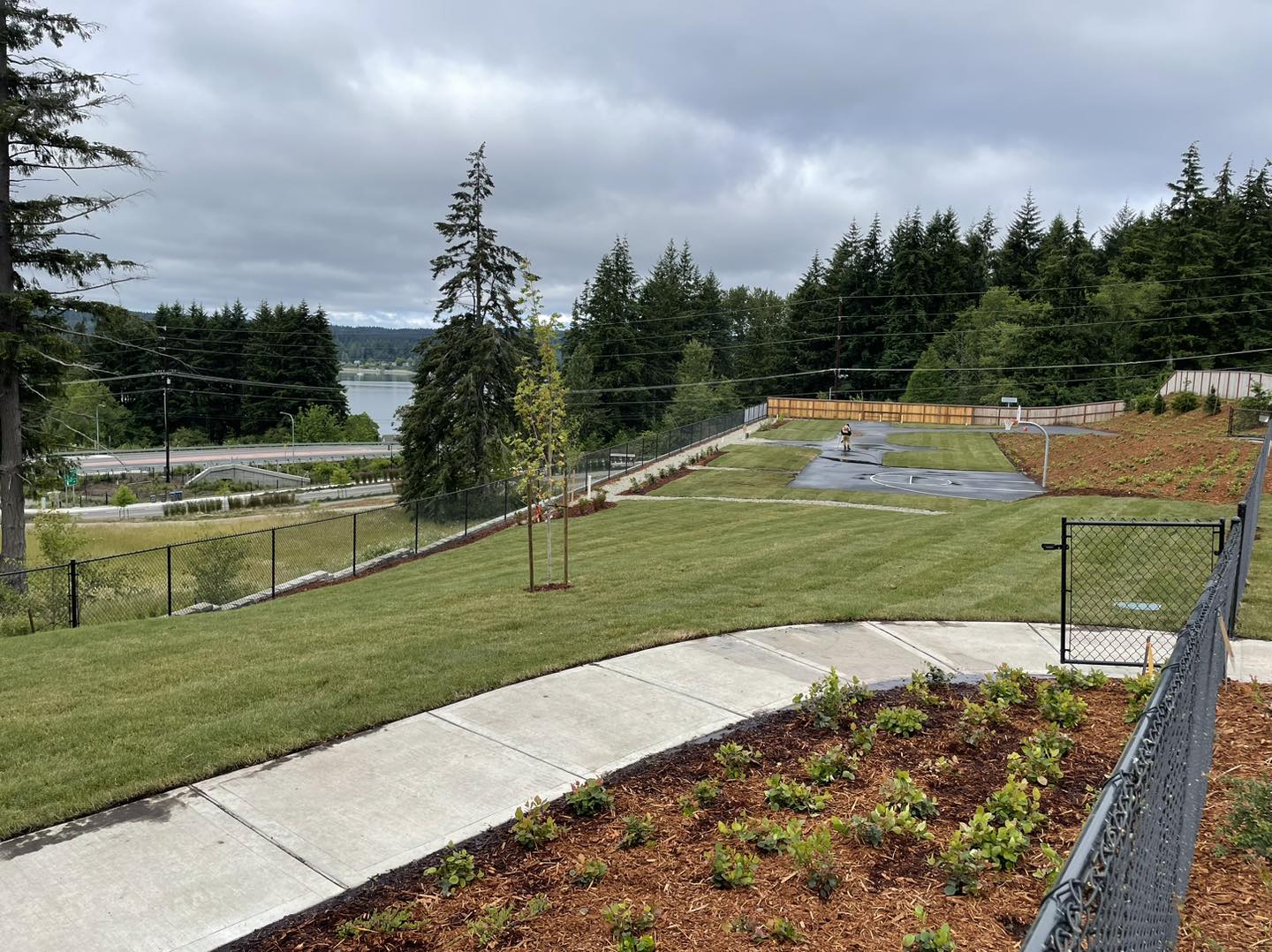 A view of the back yard from the walkway.