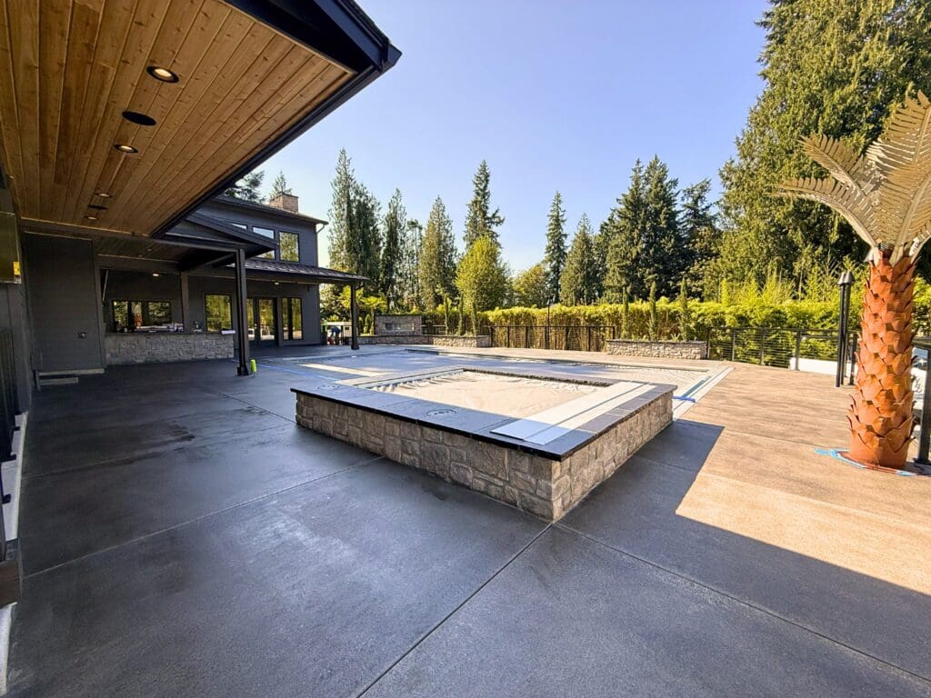 Modern patio with pool and palm tree.